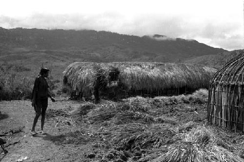 Dumakonem. women bring thatch to yard.