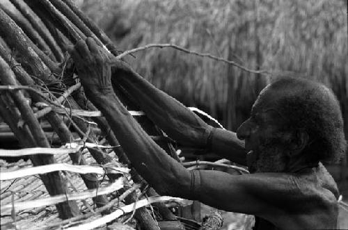 Dumakonem. Elabo lashes branch on dome