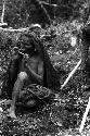 Karl Heider negatives, New Guinea