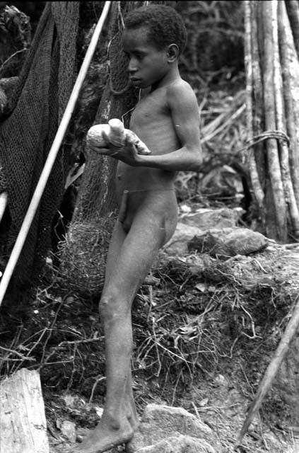 Karl Heider negatives, New Guinea