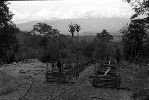 Karl Heider negatives, New Guinea