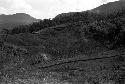 Karl Heider negatives, New Guinea