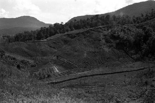 Karl Heider negatives, New Guinea