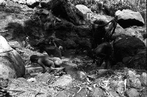 Ilueaima ('Kurelu Salt Well'). women knead banana stems in brine pool.