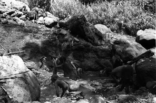 Ilueaima ('Kurelu Salt Well'). women knead banana stems in brine pool.