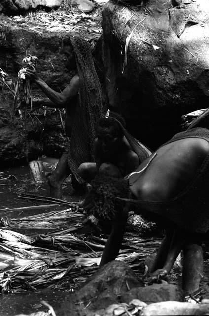 Ilueaima ('Kurelu Salt Well'). women knead banana stems in brine pool.