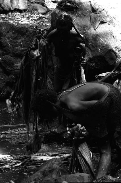 Ilueaima ('Kurelu Salt Well'). women knead banana stems in brine pool.