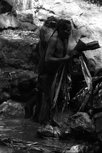 Ilueaima ('Kurelu Salt Well'). women knead banana stems in brine pool.