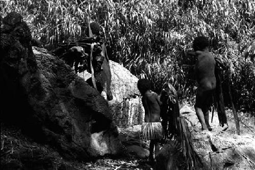 Ilueaima ('Kurelu Salt Well'). women take banana trunk from pool.