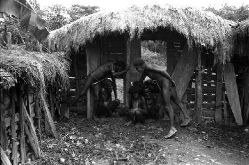 Um'ue, Weteklue, Dekman biok, Halihule, et al. hold sacred stone at pig engrance to outer compound in pre-castration ceremony to remove danger from ghosts which might arise from pig blood.