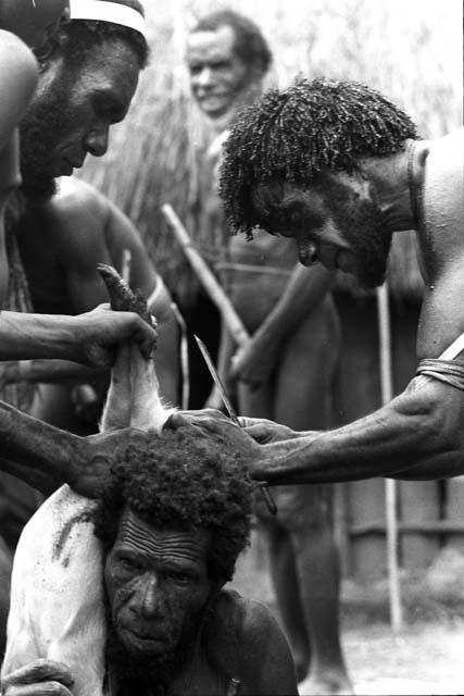 Um'ue operates on pig held by Duesikhe, et al. n.b.: bamboo knife in Um'ue's arm band: this is perhaps a taktak, a special knife fiven out by the culture hero, Nakmatugi.