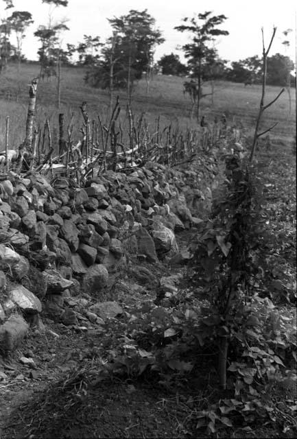 stone wall topped by wood below Hitigima