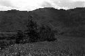 grasslands on down-stream side of Jetni Valley