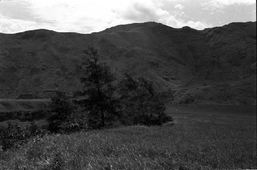 grasslands on down-stream side of Jetni Valley