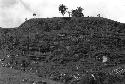 terraced slope gardens on S end of anticline