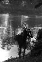 Old woman carries firewood up from Baliem River.