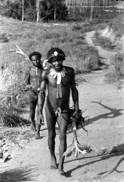 Two men carry banana shoots.