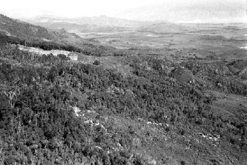 view to S, across Misakma clearing