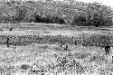 Boys hunting small birds with throwing sticks in Wagel grass strip