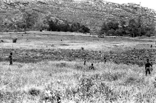 Boys hunting small birds with throwing sticks in Wagel grass strip