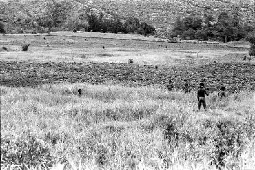 Boys hunting small birds with throwing sticks in Wagel grass strip