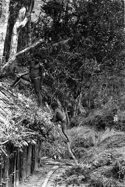 Musanima. Laying under-thatch branches. Asukulek and Medek.