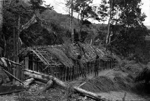 Musanima. Laying thatch.