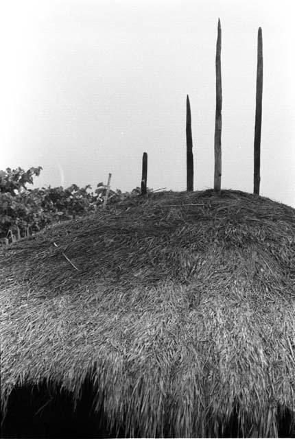 Detail of center posts sticking up through roof thatch.