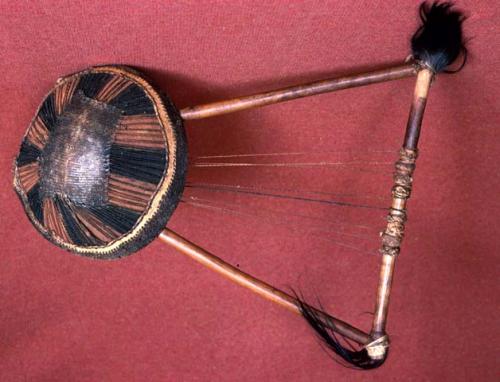 String instrument, reptile skin head, animal skin binding, 8 strings, hair tufts