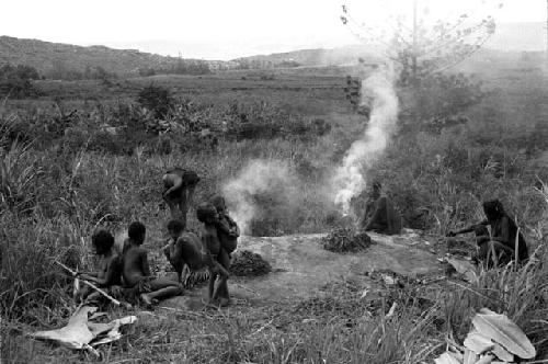 Karl Heider negatives, New Guinea