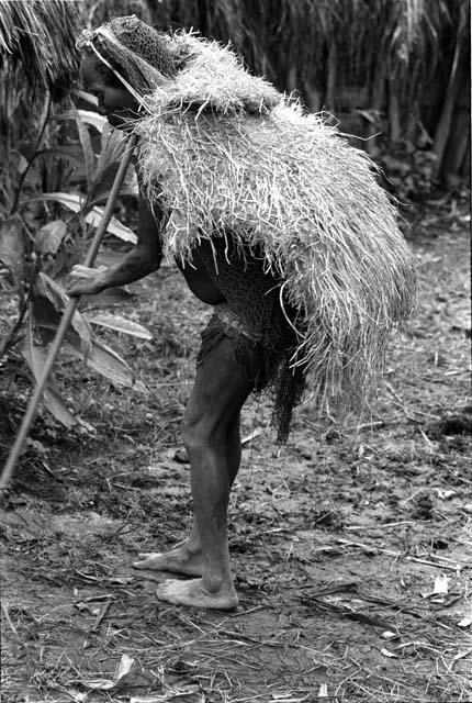 Karl Heider negatives, New Guinea