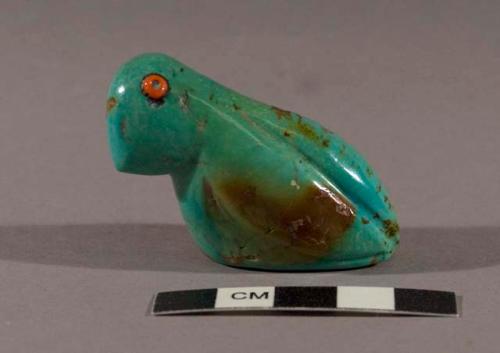 Fetish quail, turquoise with red eyes