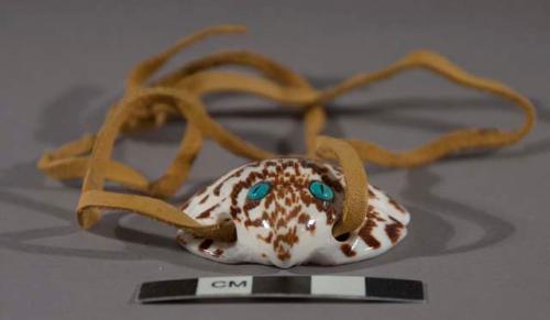 Shell frog pendant with turquoise eyes, on leather cord