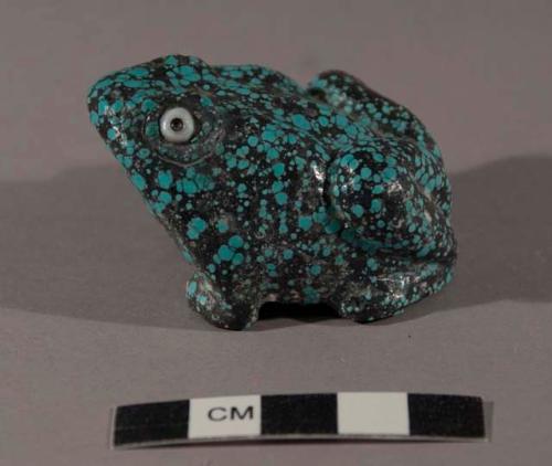 Fetish frog of turquoise with white bead eyes