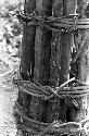 Karl Heider negatives, New Guinea; Toy bow and arrow in kaio