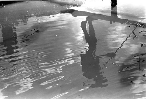 Karl Heider negatives, New Guinea; Person walking across irrigation ditch