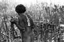 Karl Heider negatives, New Guinea; Man making spear