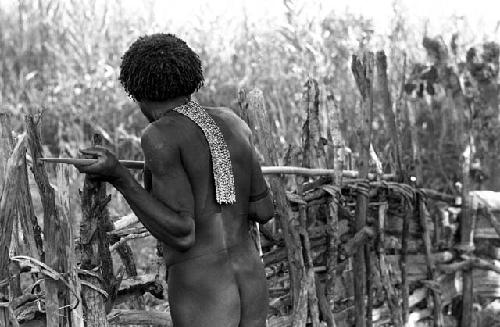 Karl Heider negatives, New Guinea; Man making spear