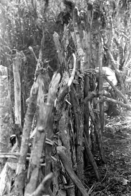 Karl Heider negatives, New Guinea; Spear bent in fence