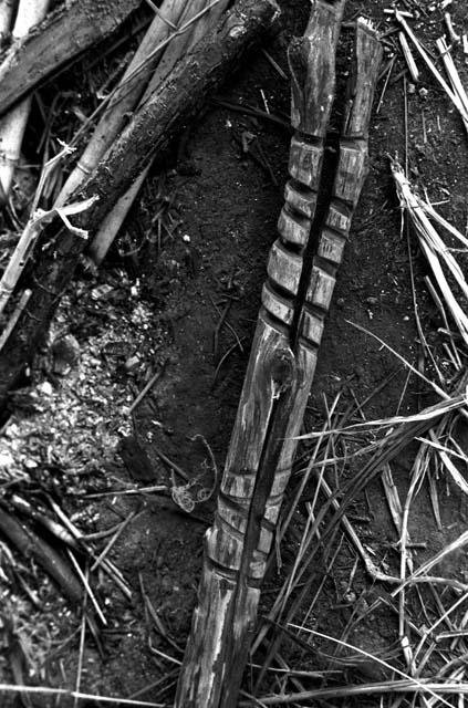 Karl Heider negatives, New Guinea; Friction fire sticks