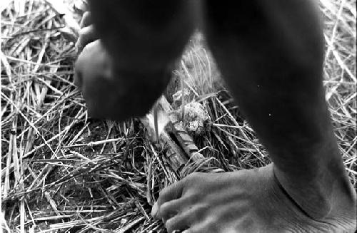 Karl Heider negatives, New Guinea; Man's feet on fire sticks