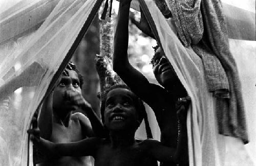 Karl Heider negatives, New Guinea; Children in tent