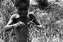 Karl Heider negatives, New Guinea; Milika's son making grass stem toys