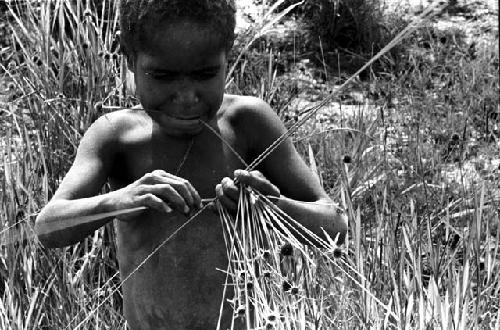 Karl Heider negatives, New Guinea; Milika's son making grass stem toys