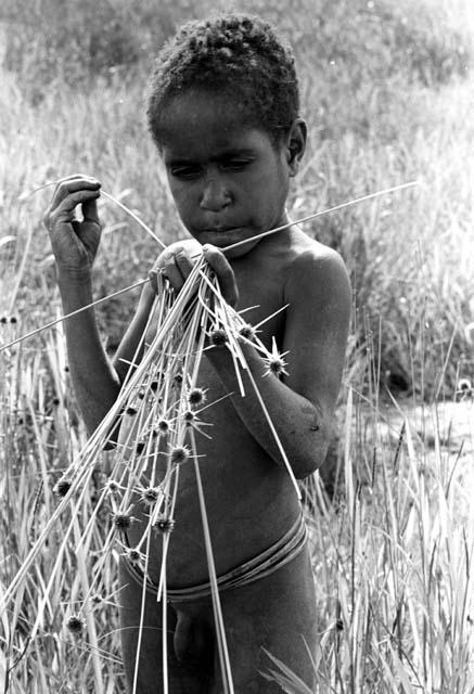 Karl Heider negatives, New Guinea; Milika's son making grass stem toys