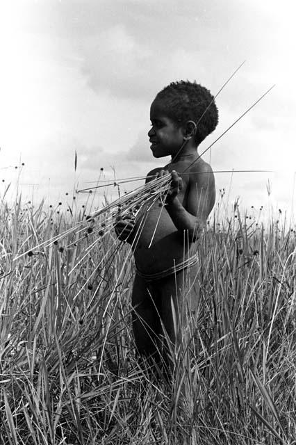 Karl Heider negatives, New Guinea; Milika's son making grass stem toys