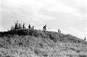 Karl Heider negatives, New Guinea; Wittaia on the ridge