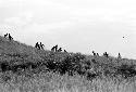 Karl Heider negatives, New Guinea; Charge by the Wittaia