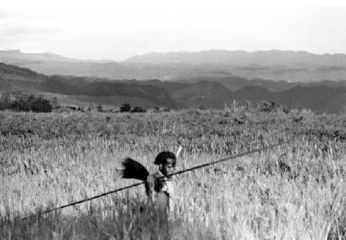 Karl Heider negatives, New Guinea; NG