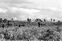 Karl Heider negatives, New Guinea; Action on Warabara